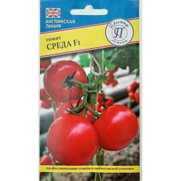 СРЕДА