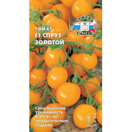 СПРУТ ЗОЛОТОЙ