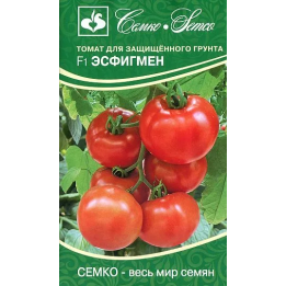 ЭСФИГМЕН