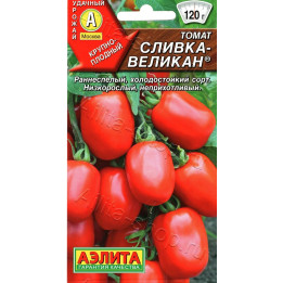 СЛИВКА-ВЕЛИКАН