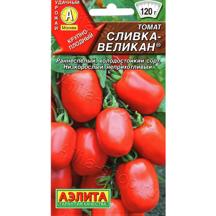 СЛИВКА-ВЕЛИКАН
