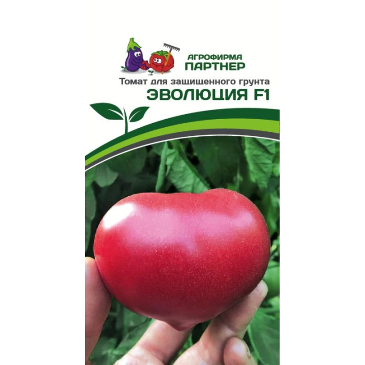 ЭВОЛЮЦИЯ