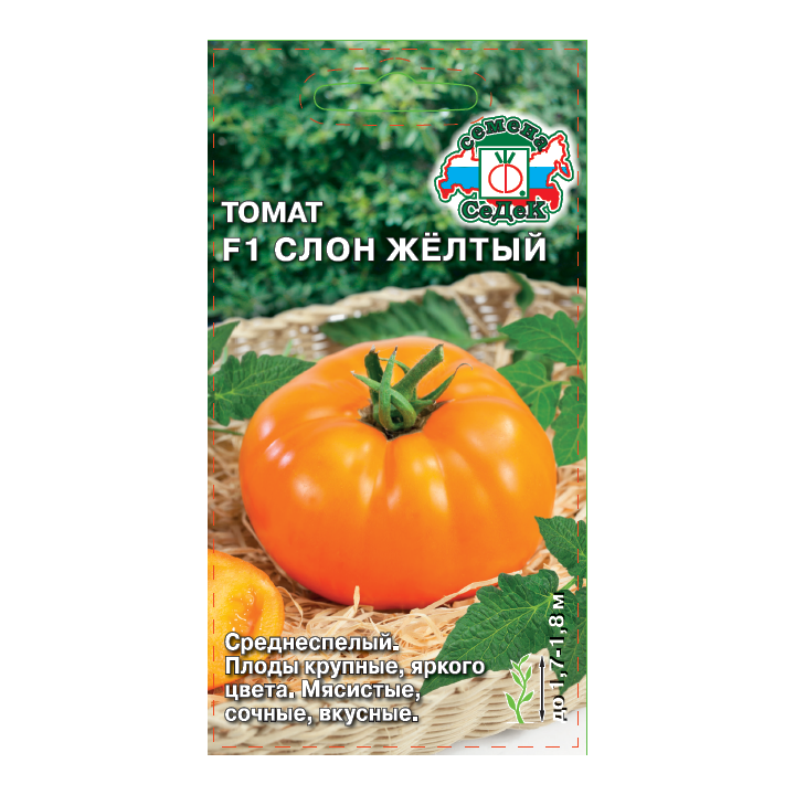 ЖЕЛТЫЙ СЛОН