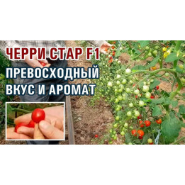 ЧЕРРИСТАР