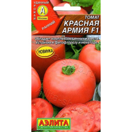 КРАСНАЯ АРМИЯ