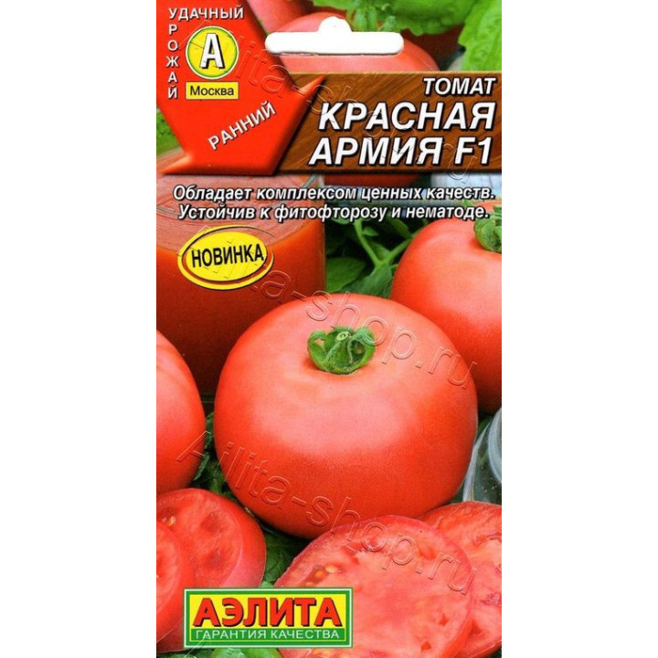КРАСНАЯ АРМИЯ