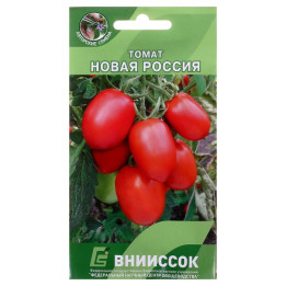 НОВАЯ РОССИЯ