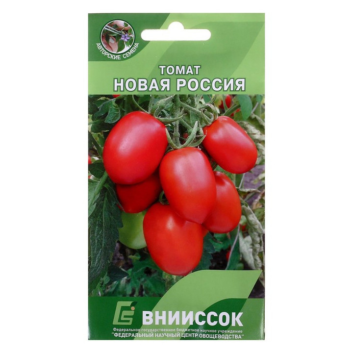 НОВАЯ РОССИЯ
