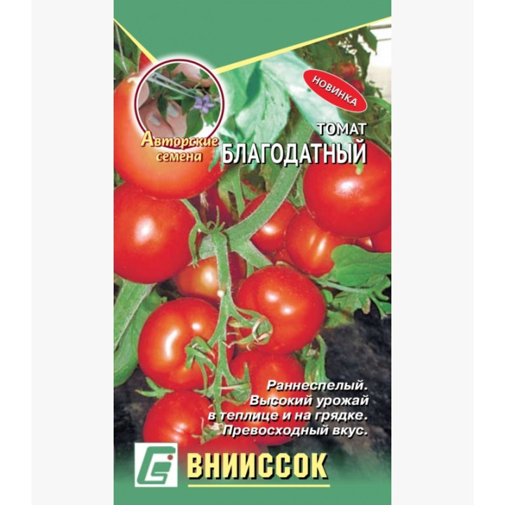 БЛАГОДАТНЫЙ