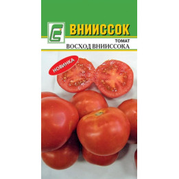 ВОСХОД ВНИИССОКА