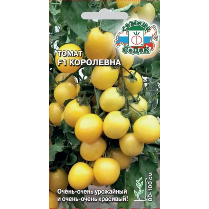 КОРОЛЕВНА