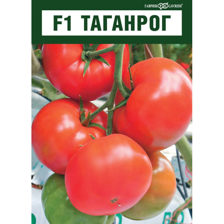 ТАГАНРОГ
