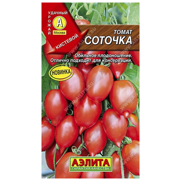 СОТОЧКА