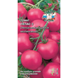 НЕПАС 2