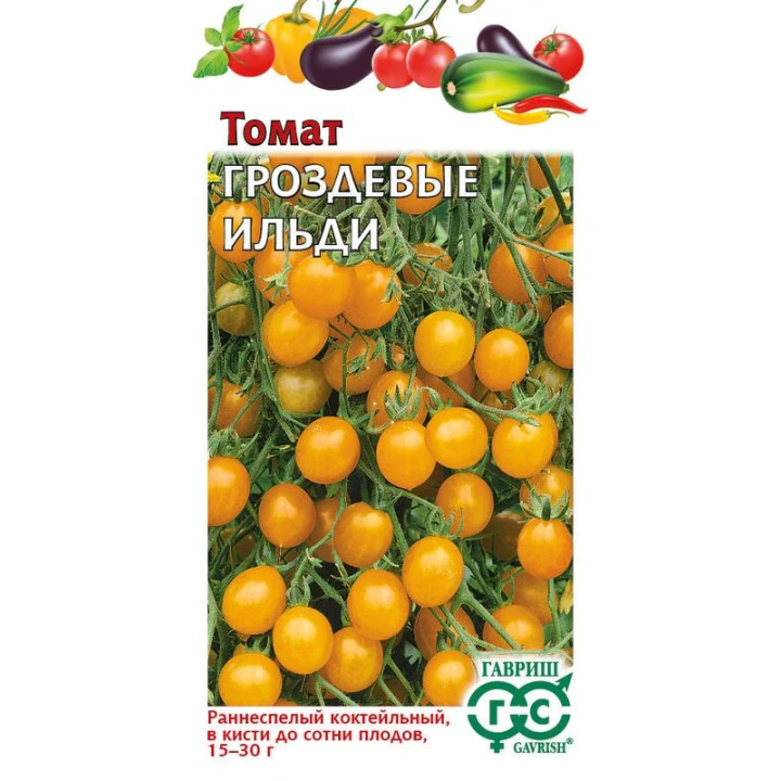 ГРОЗДЕВЫЕ ИЛЬДИ