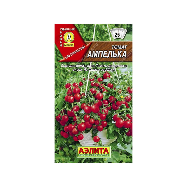 АМПЕЛЬКА