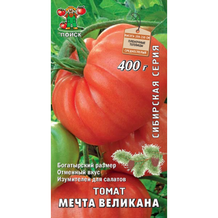 МЕЧТА ВЕЛИКАНА