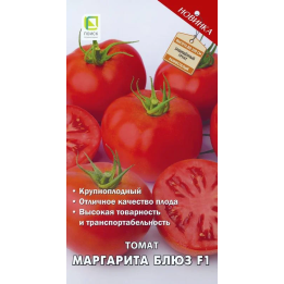 МАРГАРИТА БЛЮЗ