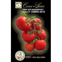 СЕМКО 2016