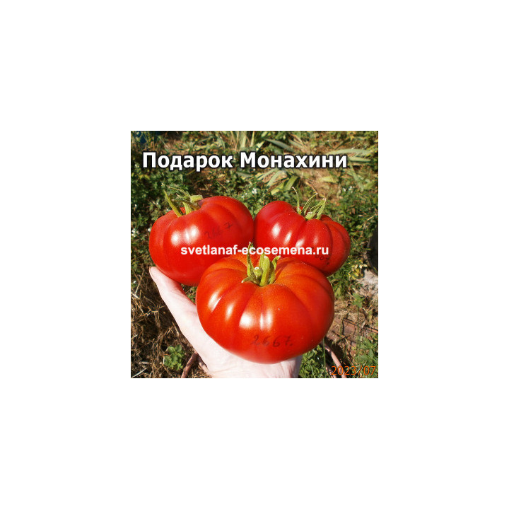 ПОДАРОК ОВОЩЕВОДУ