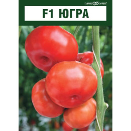 ЮГРА