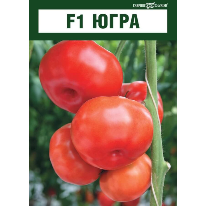 ЮГРА
