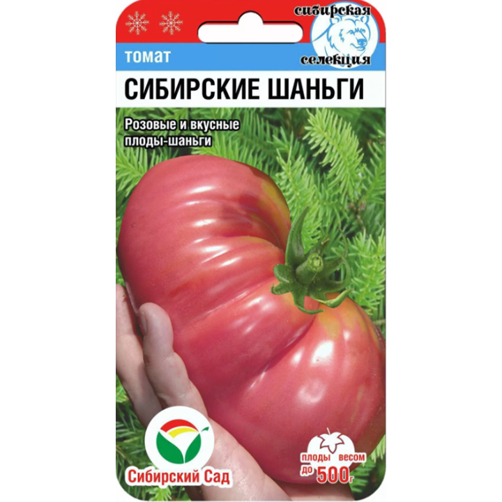 СИБИРСКИЕ ШАНЬГИ