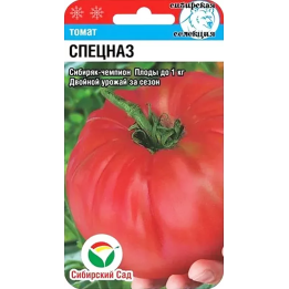 СПЕЦНАЗ