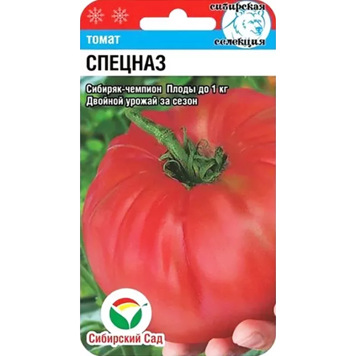 СПЕЦНАЗ