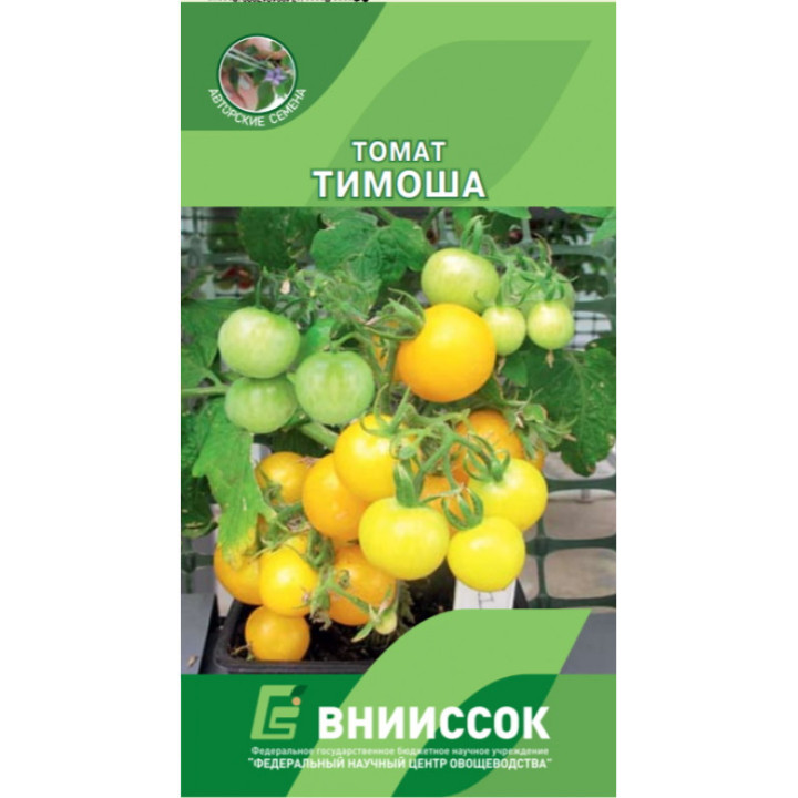 ТИМОША