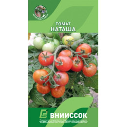 НАТАША