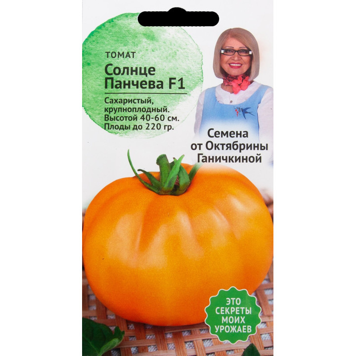 СОЛНЦЕ ПАНЧЕВА