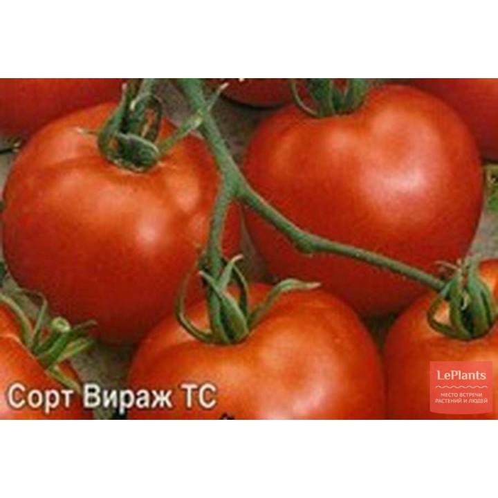 ВИРАЖ