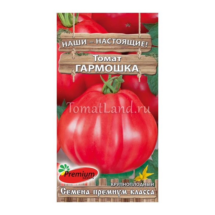 ГАРМОШКА