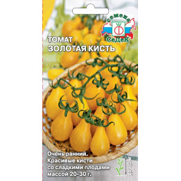 ЗОЛОТАЯ КИСТЬ