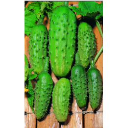 Конкурент