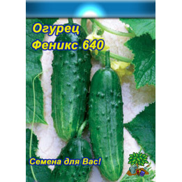 Феникс 640