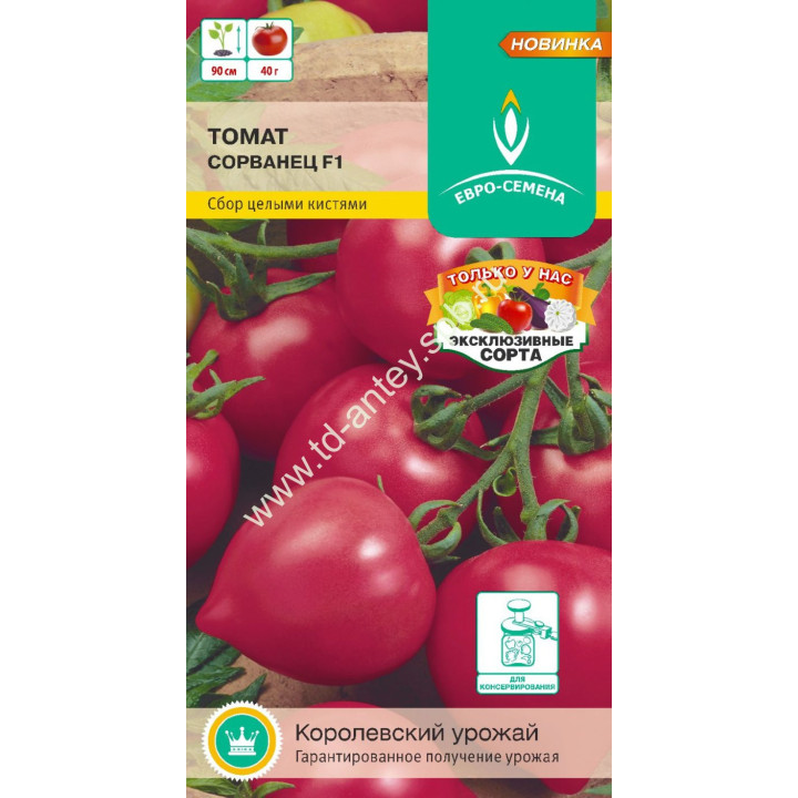 СОРВАНЕЦ