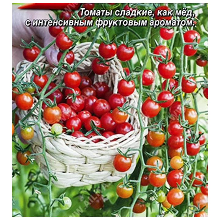 СЛАДКИЙ ЖЕМЧУГ