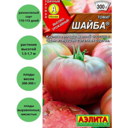 ШАЙБА