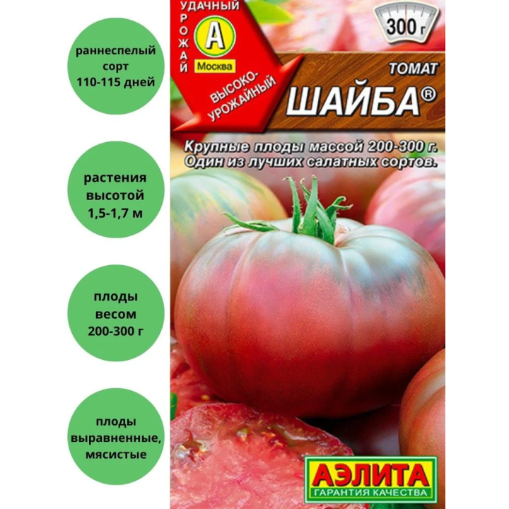 ШАЙБА