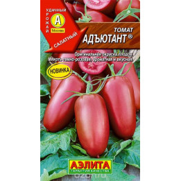 АДЪЮТАНТ