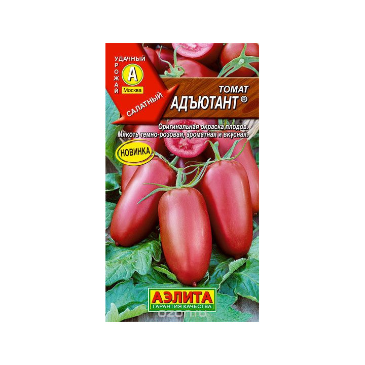 АДЪЮТАНТ