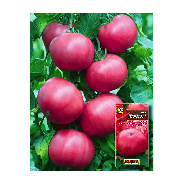 ПУЗАТИКИ