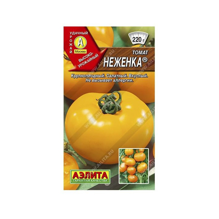 НЕЖЕНКА