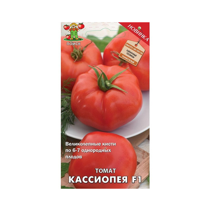 КАССИОПЕЯ