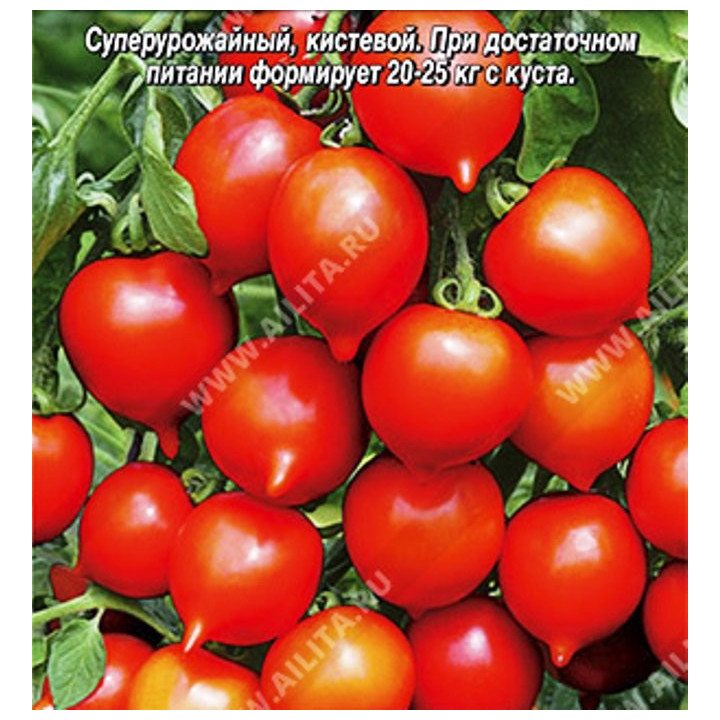 СЕНЬОР ПОМИДОР