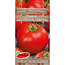 ПОКОРИТЕЛЬ СЕВЕРА