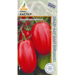 КАСПЕР