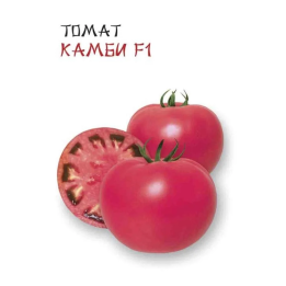 КАМБИ